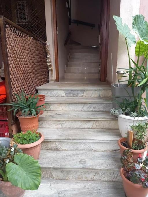 Apartmán Το Σπίτι Του Γιάννη Pýli Exteriér fotografie