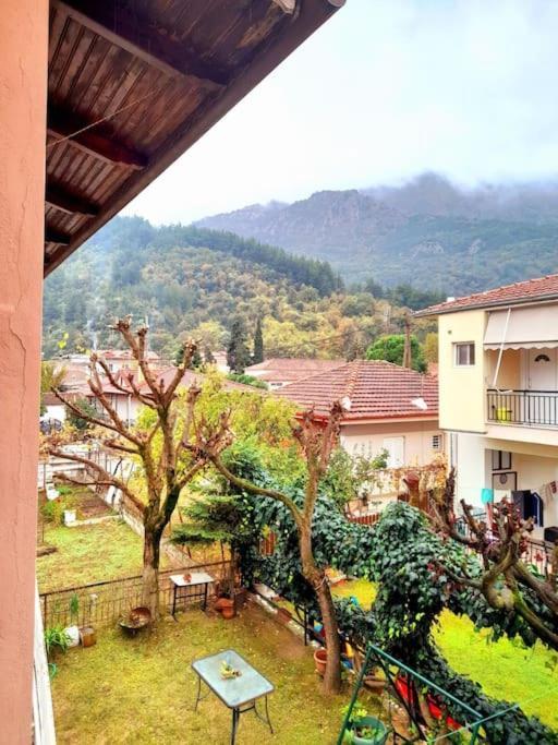 Apartmán Το Σπίτι Του Γιάννη Pýli Exteriér fotografie